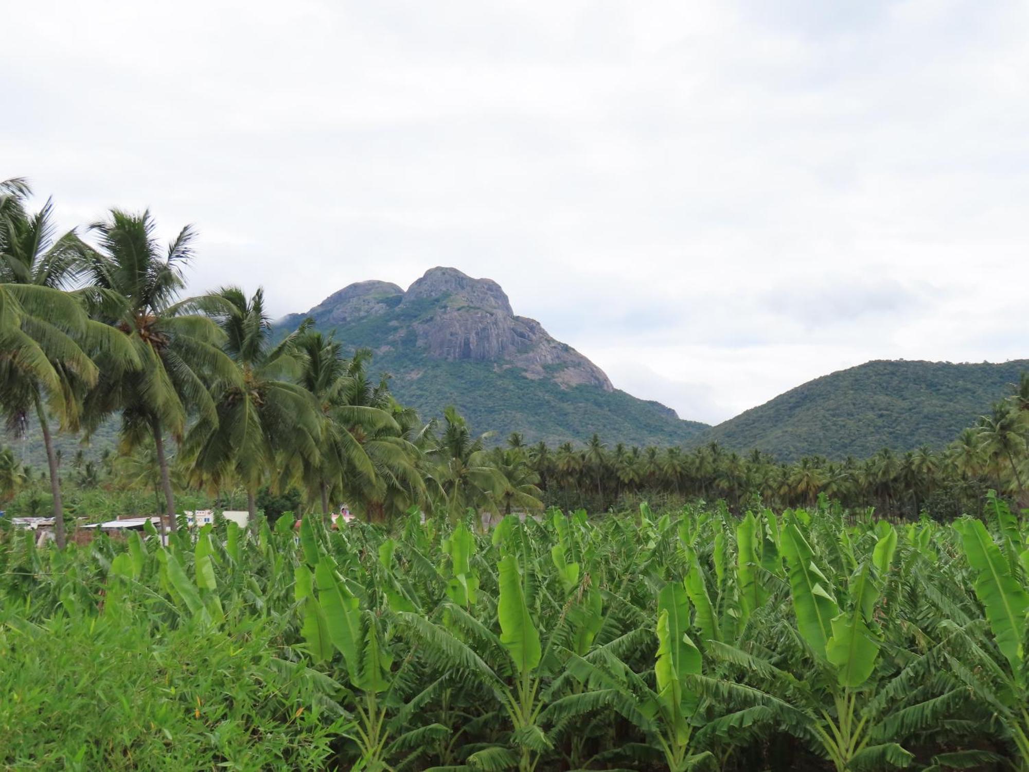 Misty Hills Retreat Hotel Coimbatore Exterior photo